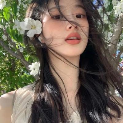 摄影师贝尔蒂与海豚零距离